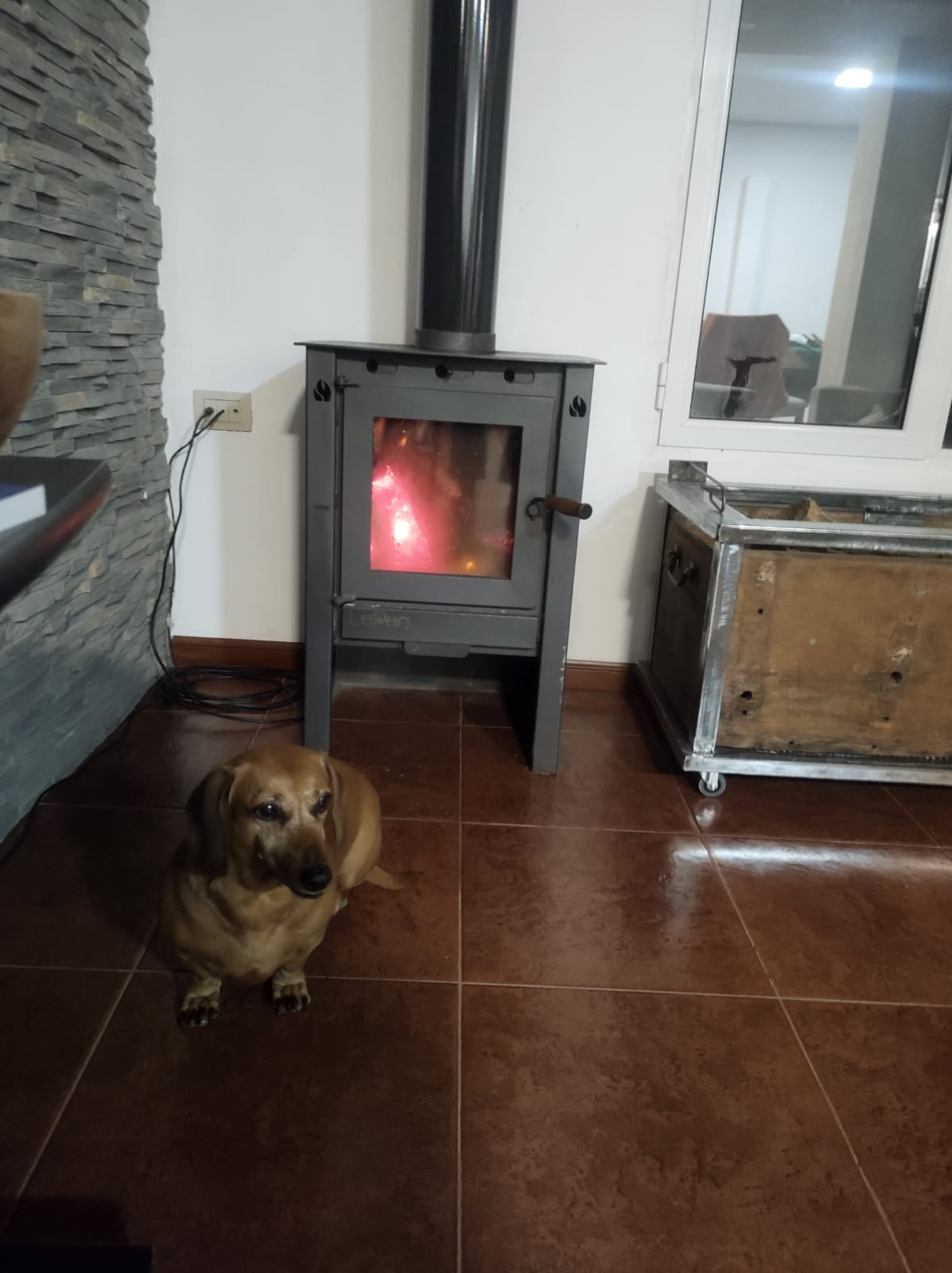 Casa en Rodaj Park: Un Encuentro entre la Naturaleza y la Conveniencia Urbana