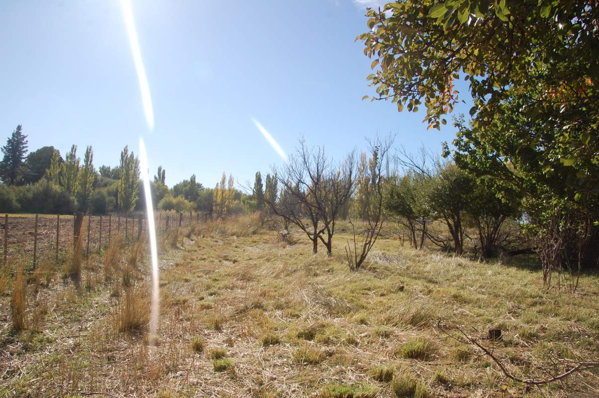 Chacra en VENTA tierra productiva