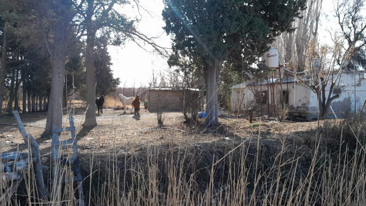 Chacra en VENTA tierra productiva