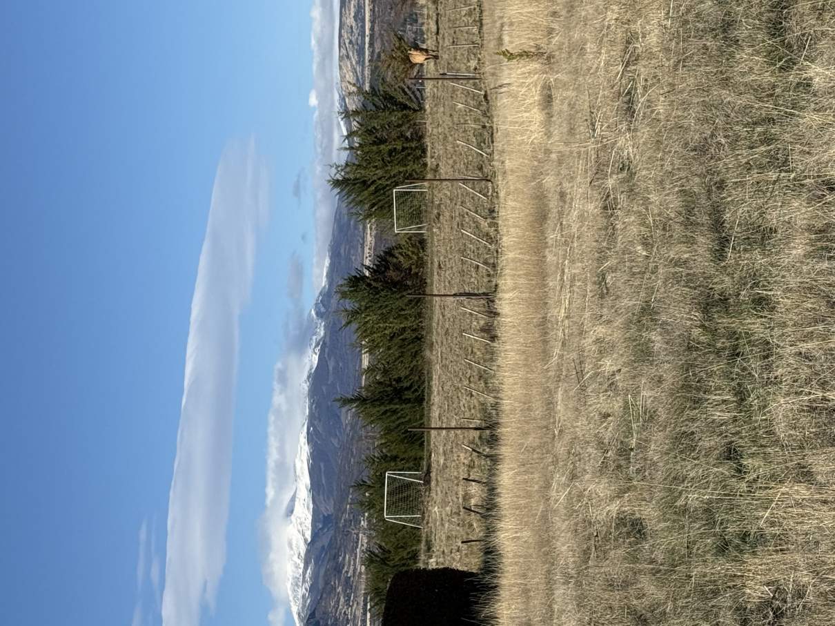 TERRENO EN TREVELIN EN VENTA
