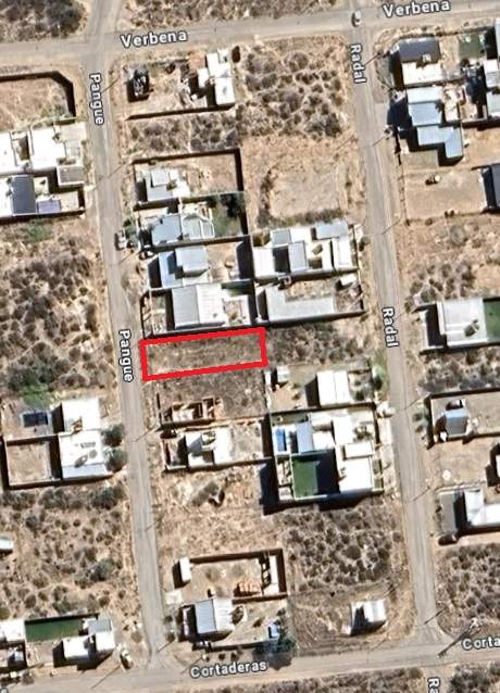 Lote Solanas