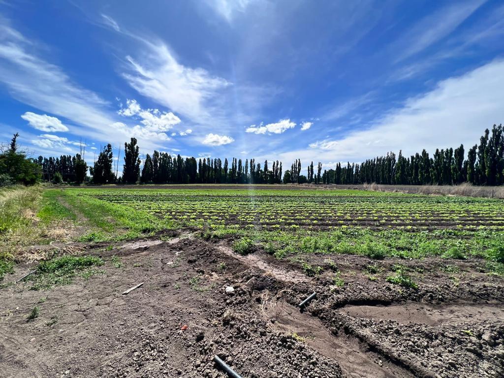 Terreno en  Zona rural Gaiman, Chubut