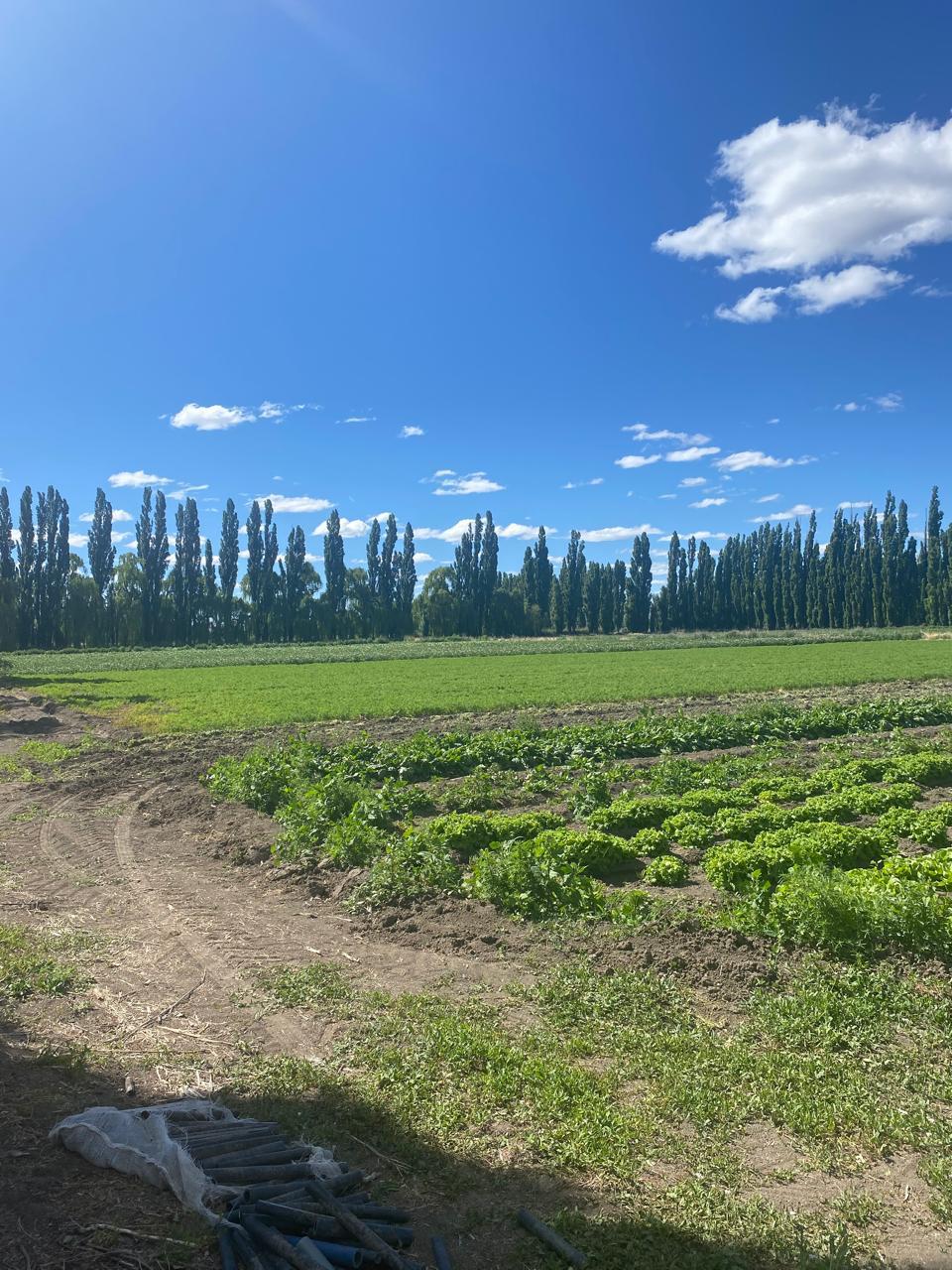 Terreno en  Zona rural Gaiman, Chubut