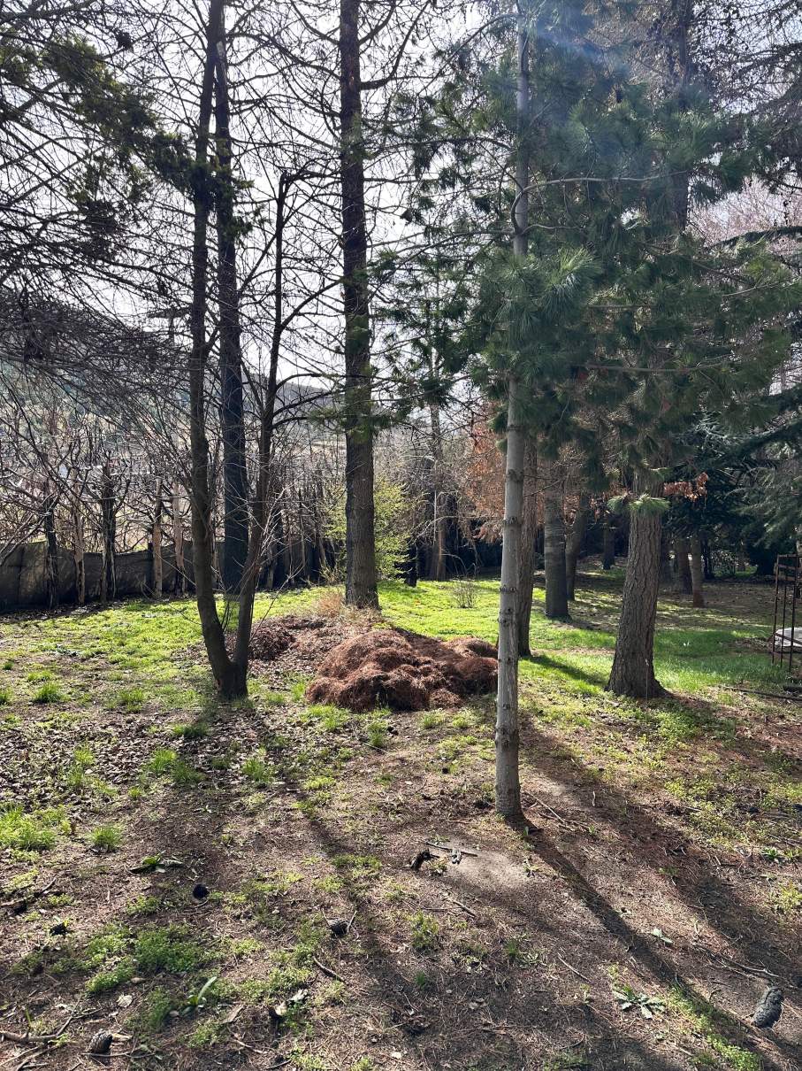 Oportunidad Terreno en Esquina Esquel