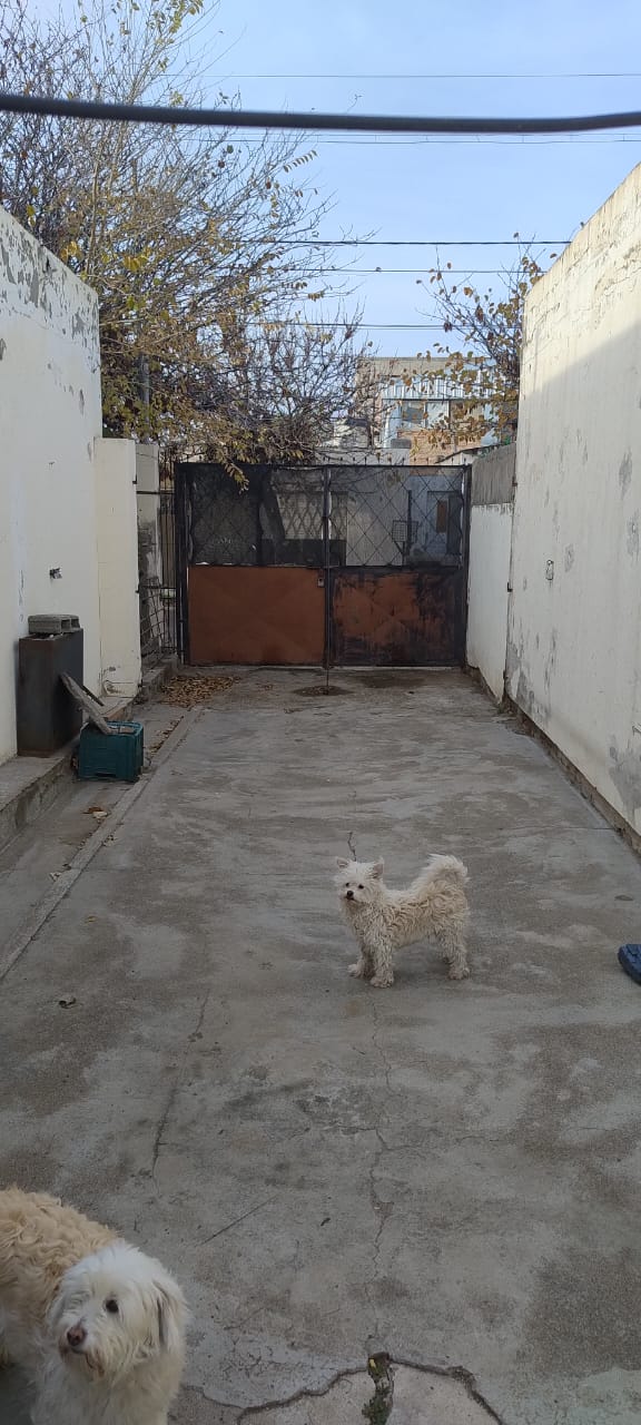 Casa centrica APTA CREDITO