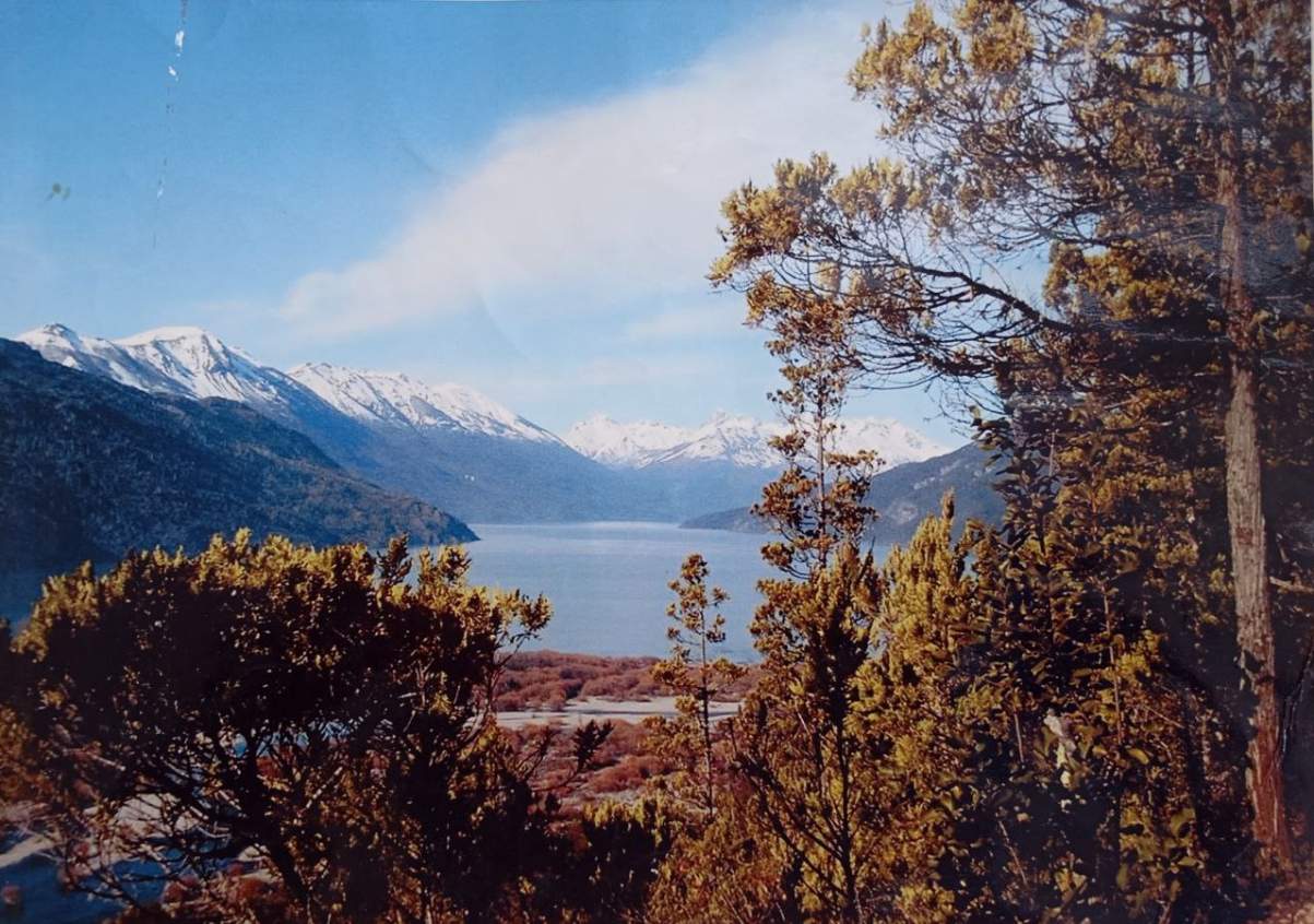 UNICO E INCOMPARABLE !!  EN VENTA  CAMPO EN LAGO PUELO