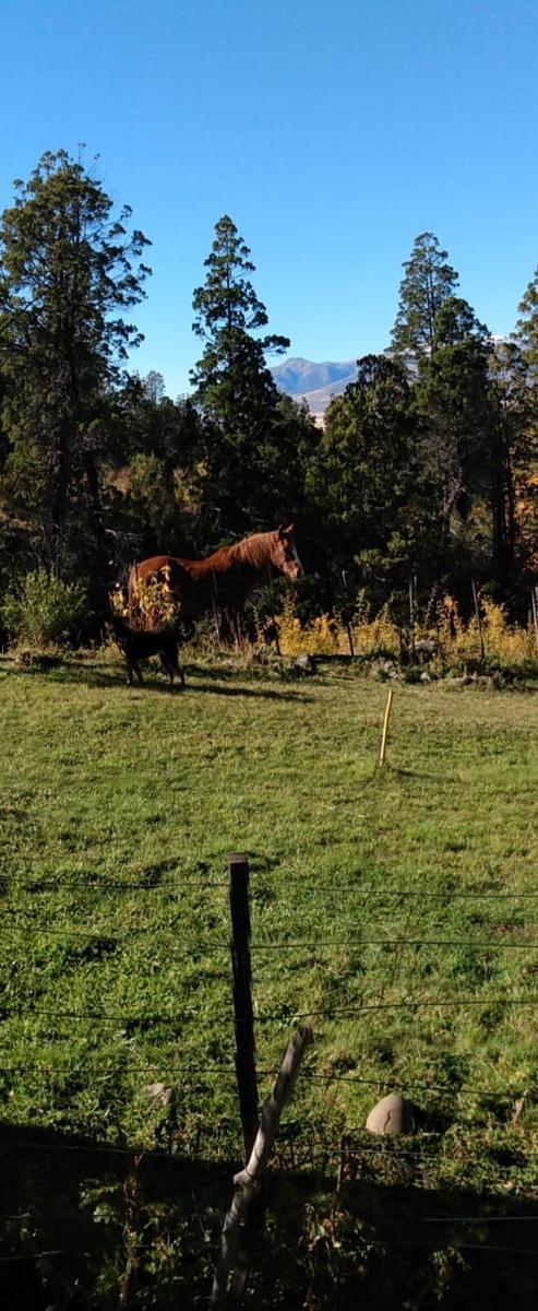 Terreno en Puerto Madryn