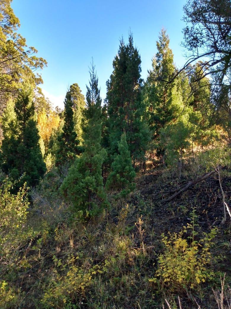 Terreno en Puerto Madryn
