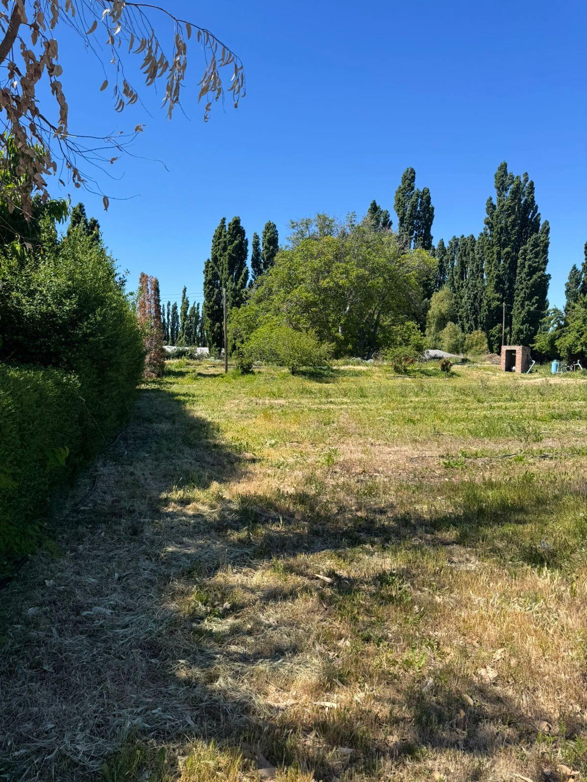 En venta: Chacra en Gaiman con gran potencial de producción