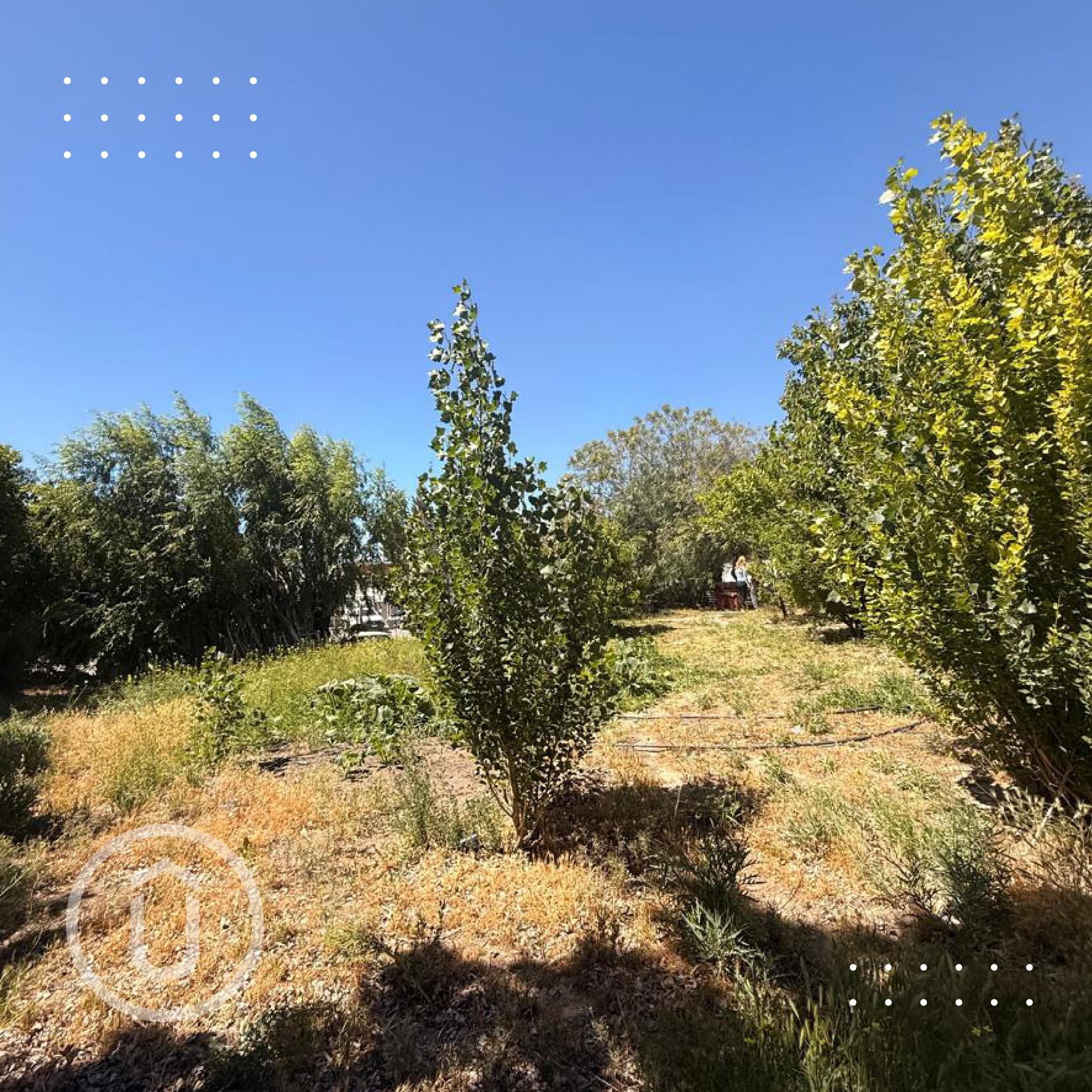 PROPIEDAD EN VENTA  TERRENO