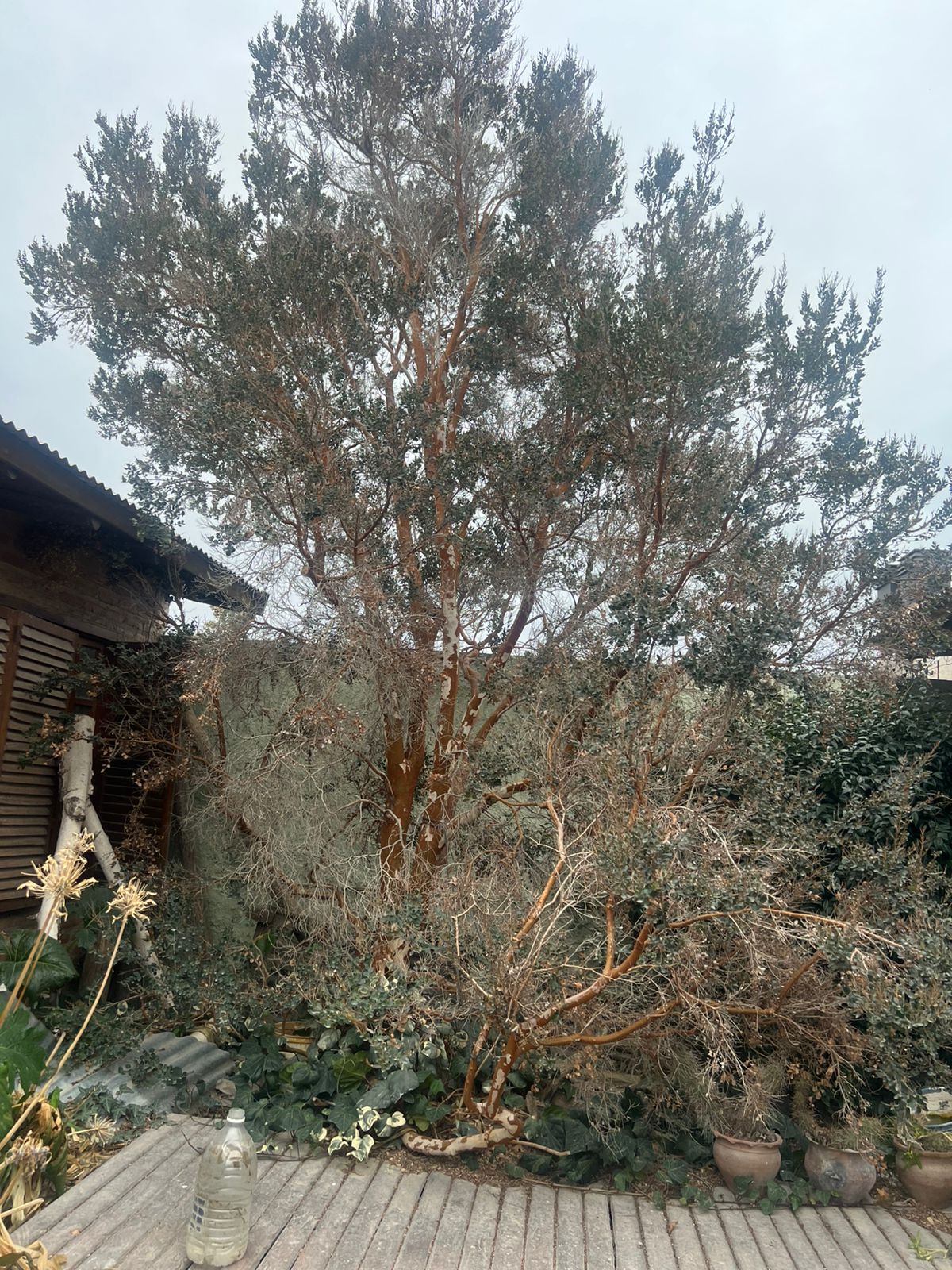 Casa estilo cordillerana en Playa Unión